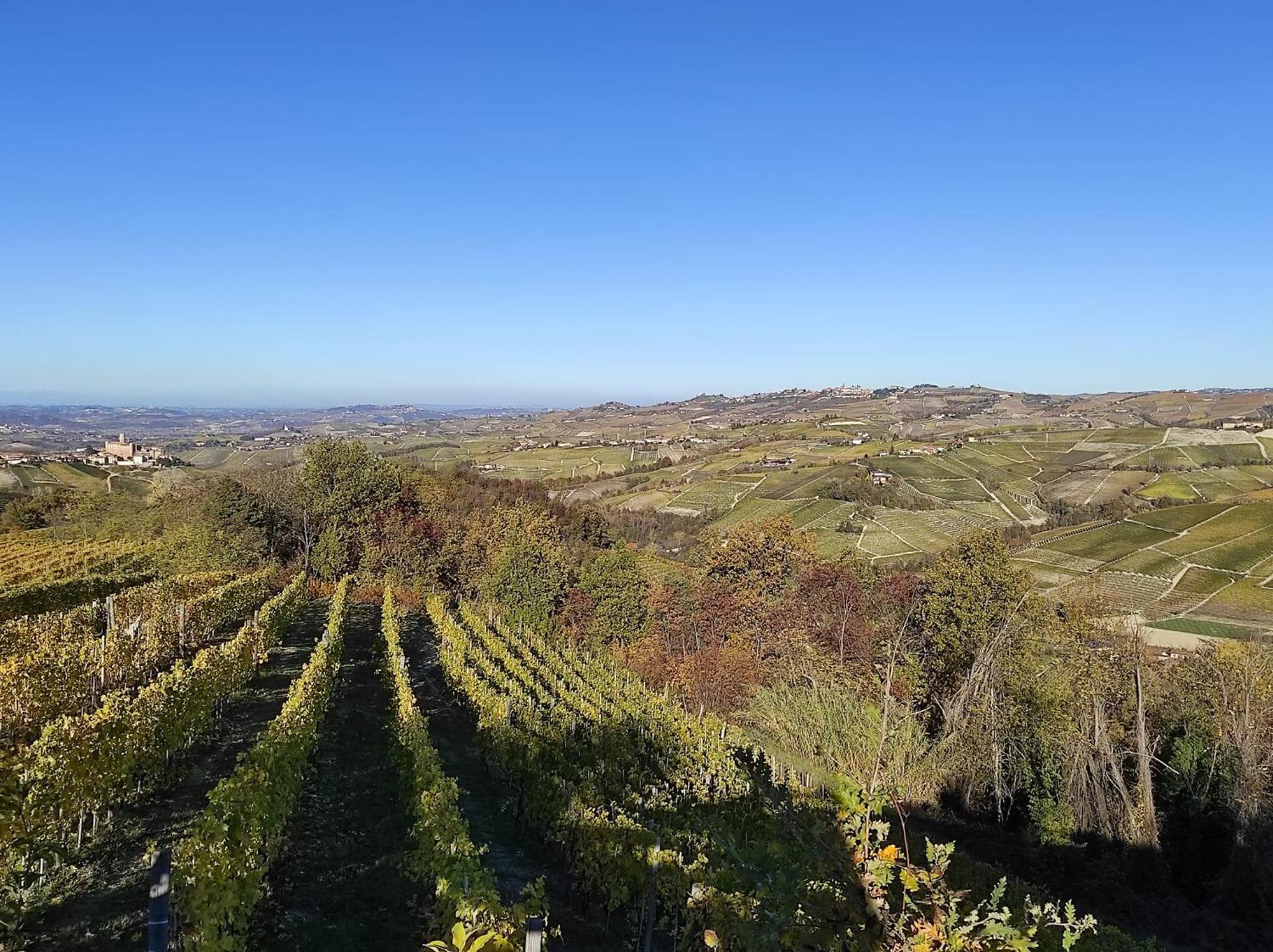 Agriturismo Bianconiglio Monforte D'Alba Ngoại thất bức ảnh