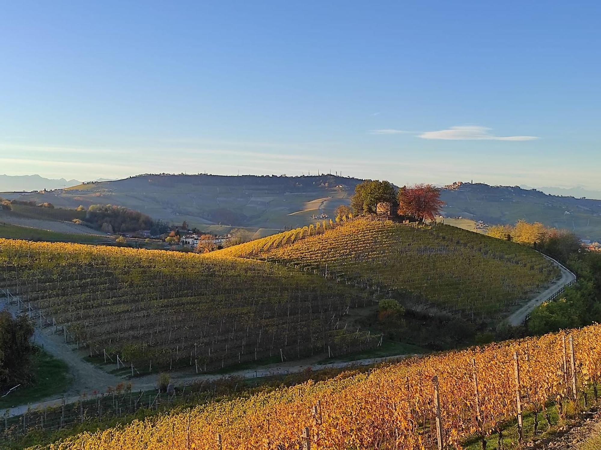 Agriturismo Bianconiglio Monforte D'Alba Ngoại thất bức ảnh